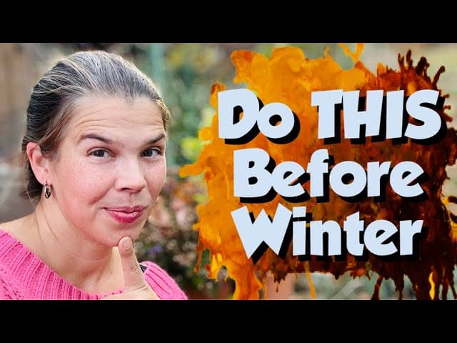 November Garden To-Do List | How-To Protect Plants & Easy Compost Trick