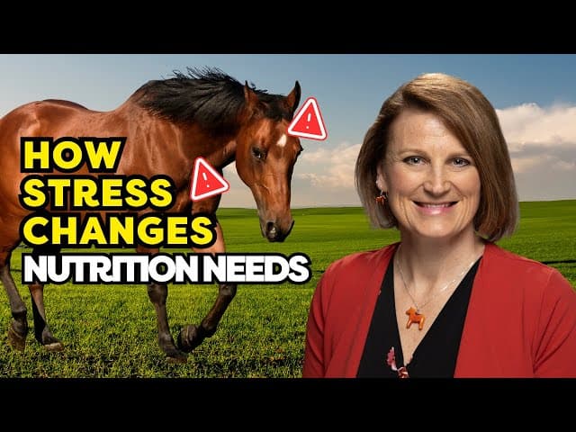 Boost Horse Performance With Nutrition – Dr. Carey Williams