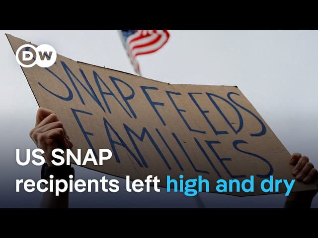 What are SNAP benefits and why has the US government shutdown axed them? | DW News